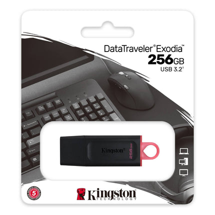 Kingston 256GB USB Memory Stick