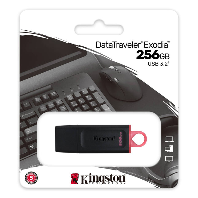 Kingston 256GB USB Memory Stick