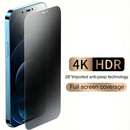 Pack of 10 Full Glue Glass Film Private For Apple iPhone 16 Plus